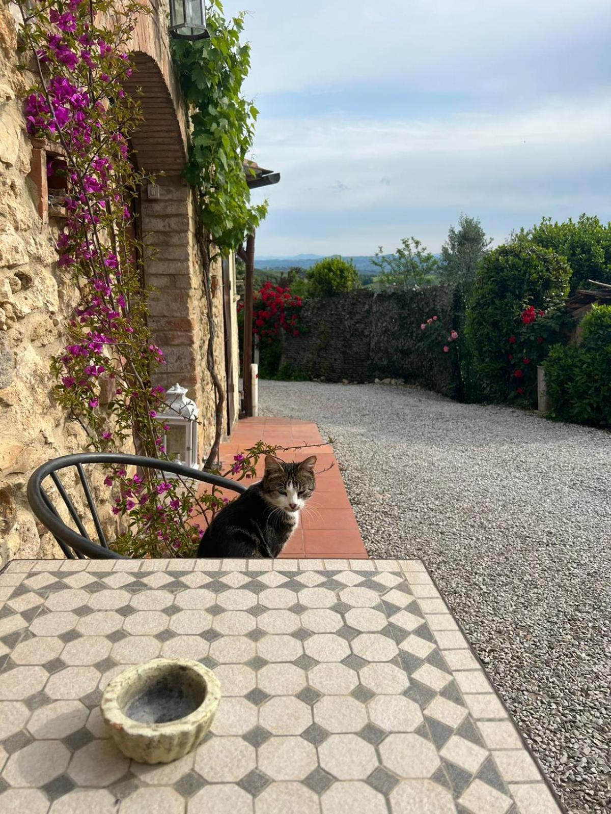 Antico Casolare Villa San Gimignano Exterior photo