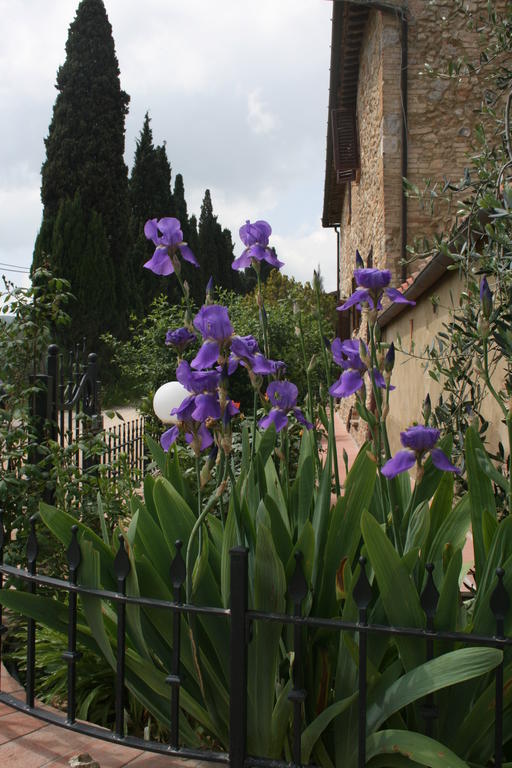 Antico Casolare Villa San Gimignano Exterior photo